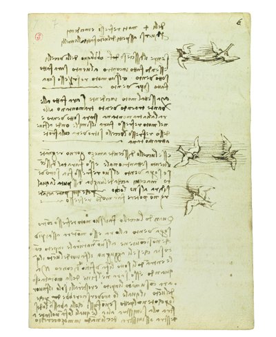 Codex on the Flight of Birds, Folio 6 Recto by Leonardo da Vinci